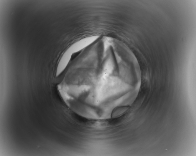 X0000088060663200706081650