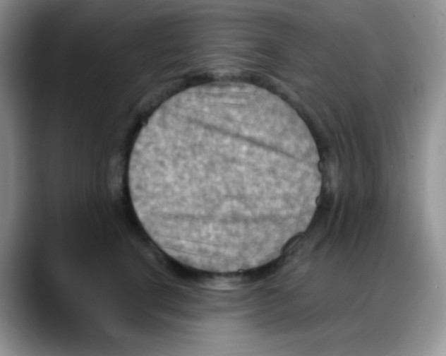 X0000088060664200706081650
