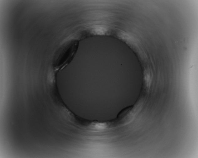 X0000088060665200706081650