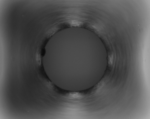 X0000088060666200706081650