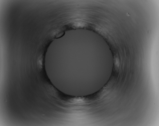 X0000088060668200706081650