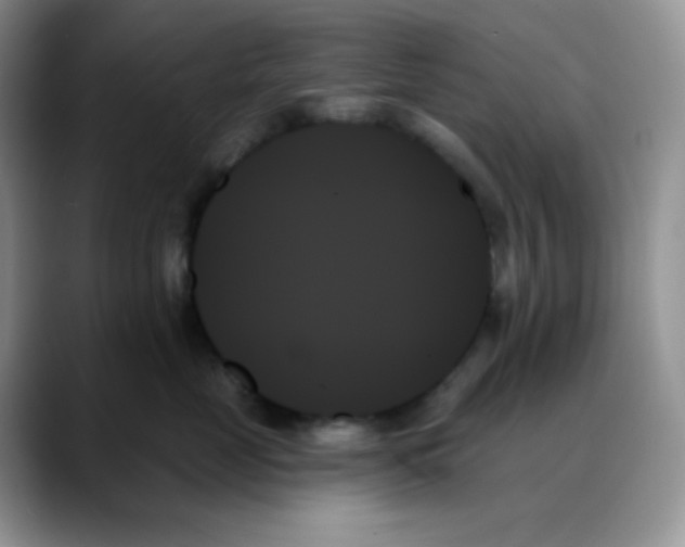 X0000088060669200706081650