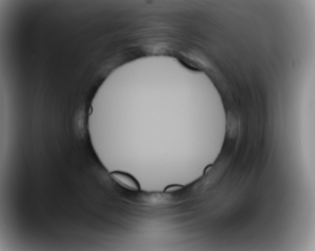 X0000088060670200706081650