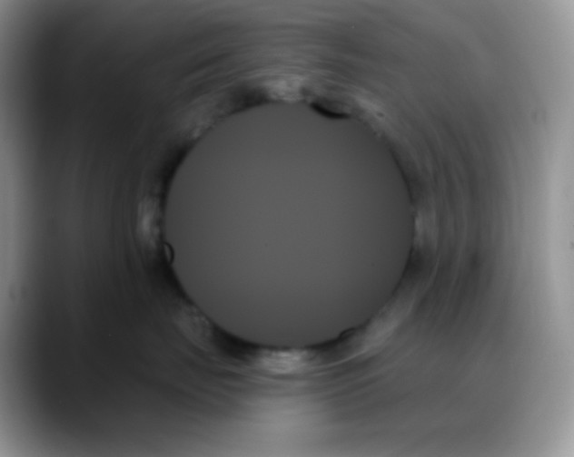 X0000088060671200706081650