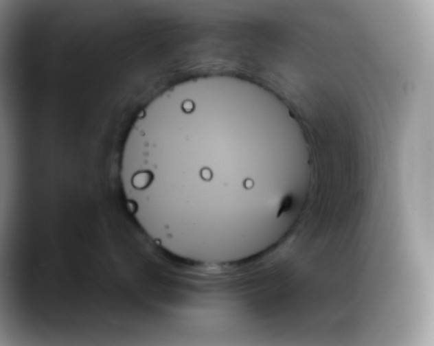 X0000088060672200706081650