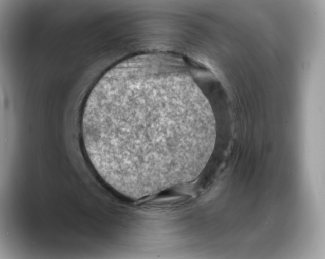 X0000088060673200706081650