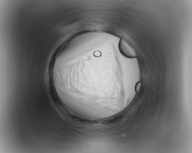 X0000088060674200706081650