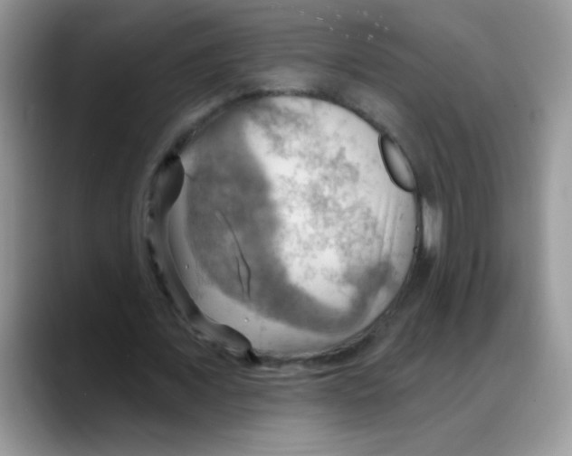 X0000088060675200706081650