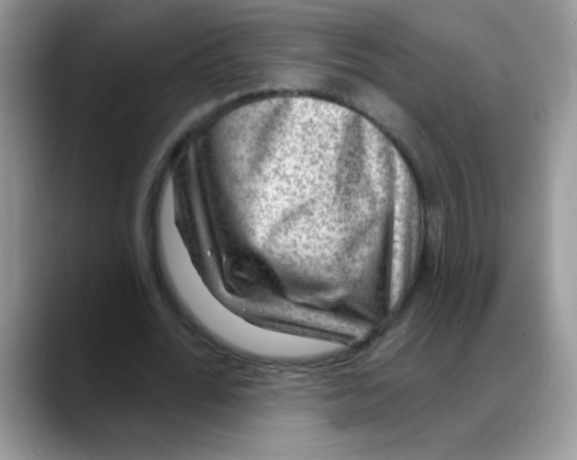 X0000088060676200706081650