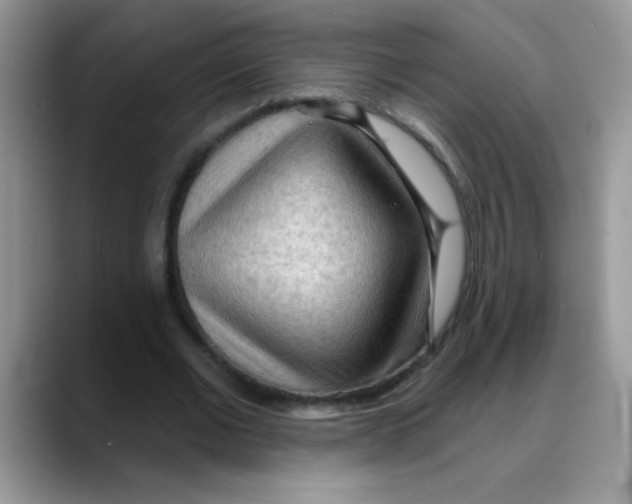 X0000088060677200706081650