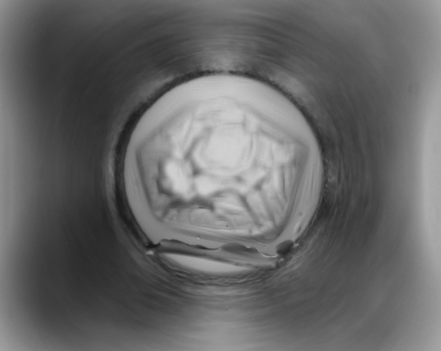 X0000088060678200706081650