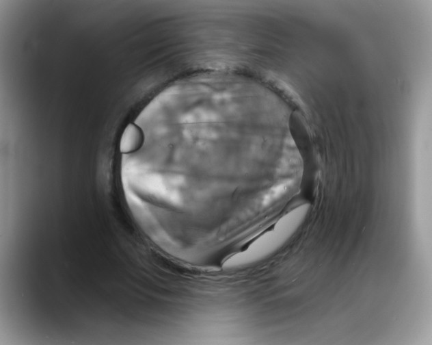 X0000088060679200706081650