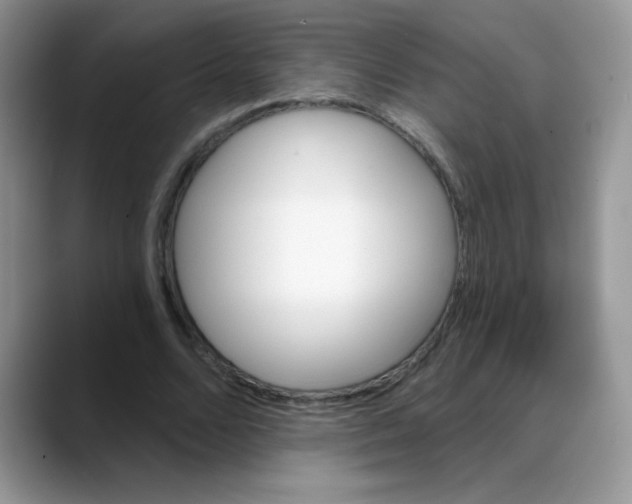 X0000088060680200706081650