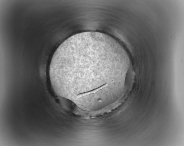 X0000088060681200706081650