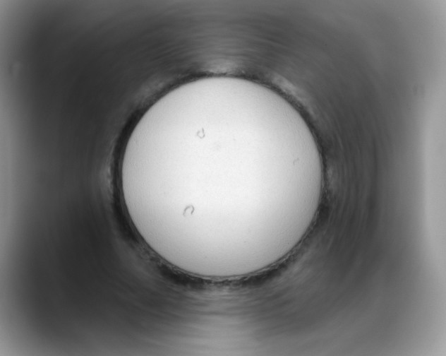 X0000088060682200706081650