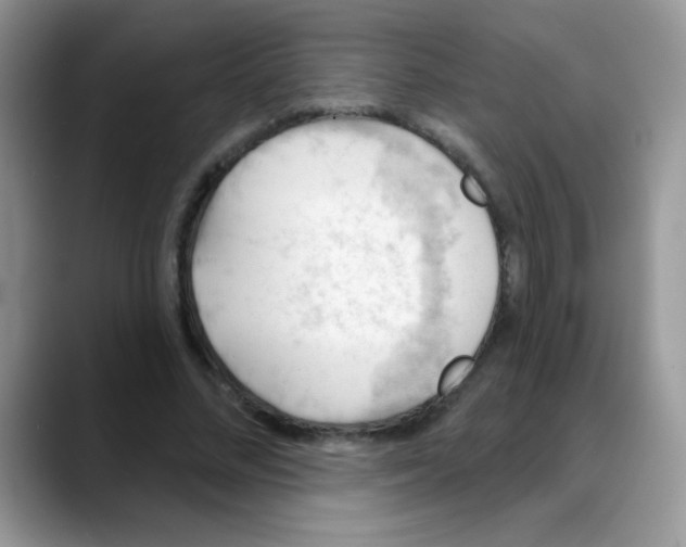 X0000088060684200706081650