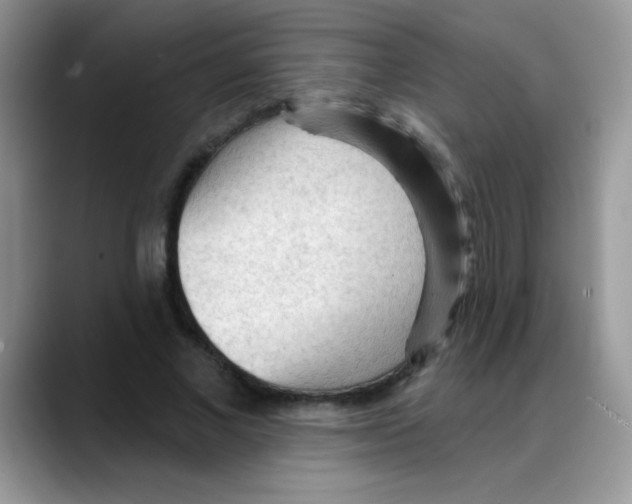 X0000088060685200706081650