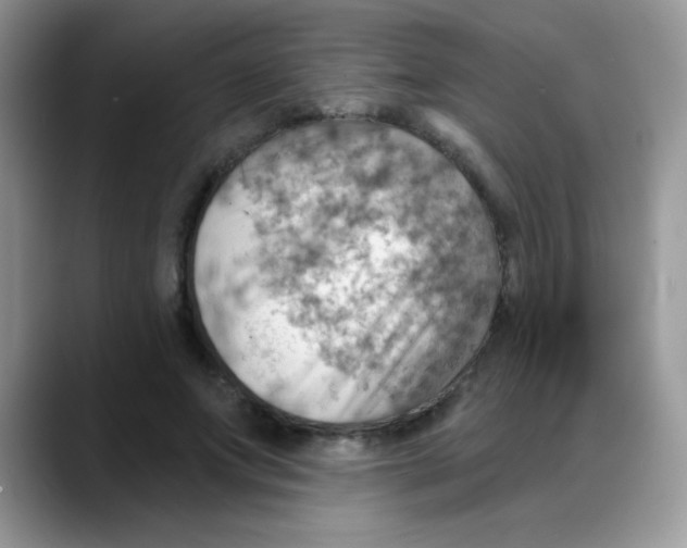 X0000088060687200706081650
