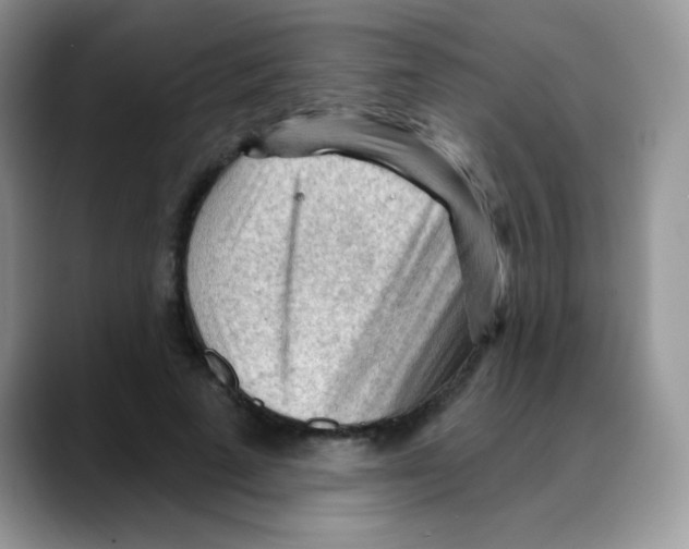 X0000088060689200706081650