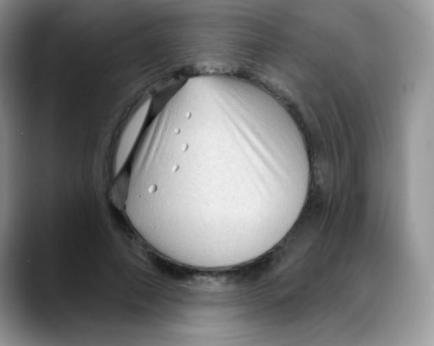 X0000088060690200706081650
