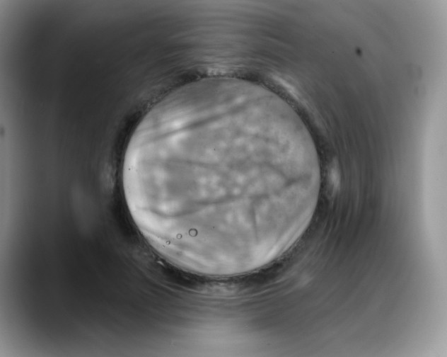 X0000088060691200706081650