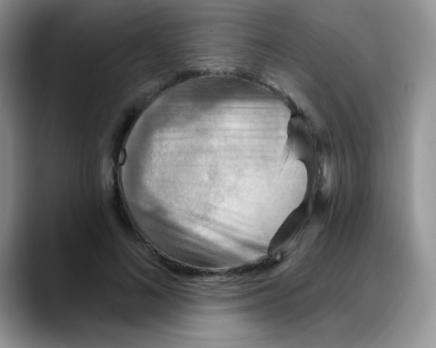 X0000088060692200706081650