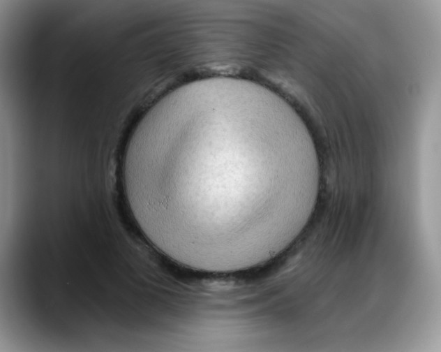 X0000088060693200706081650
