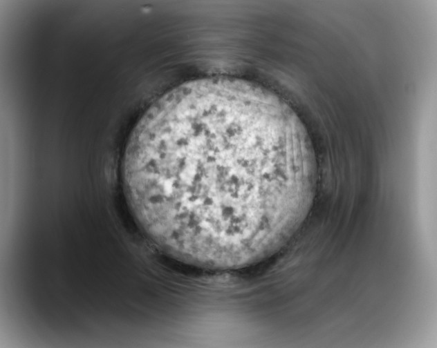X0000088060695200706081650