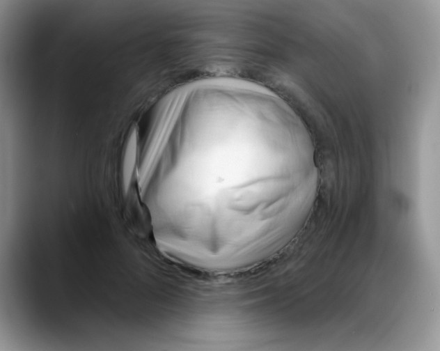X0000088060696200706081650