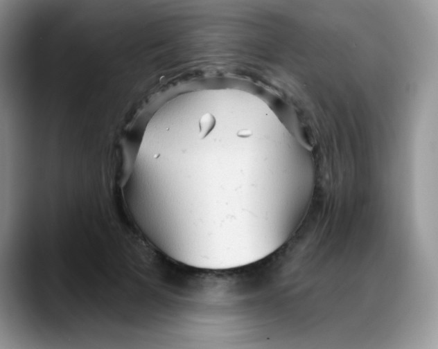 X0000088060697200706081650