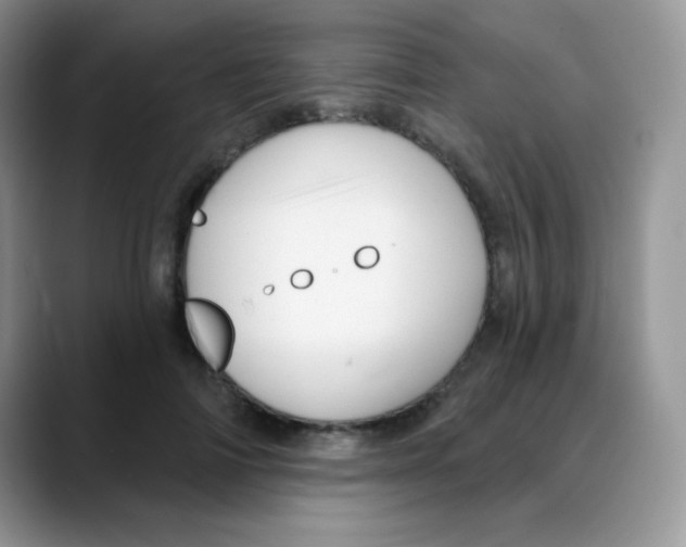 X0000088060698200706081650
