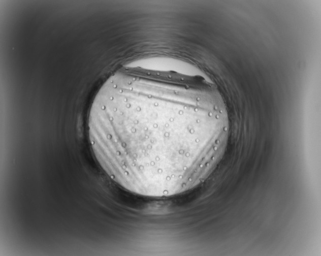X0000088060700200706081650