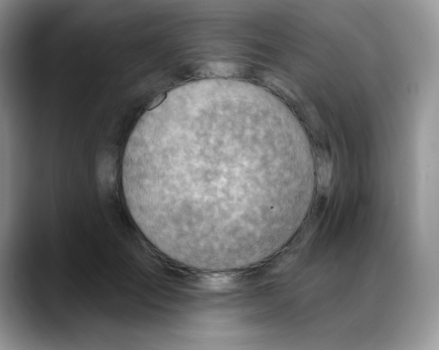 X0000088060701200706081649