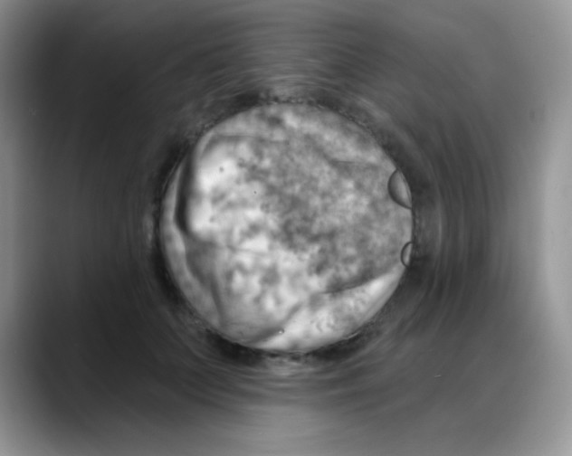 X0000088060703200706081649