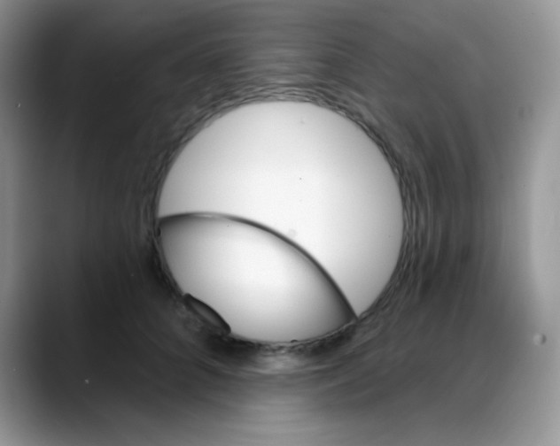 X0000088060704200706081649