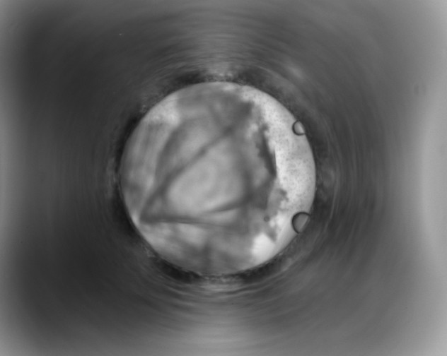X0000088060707200706081649