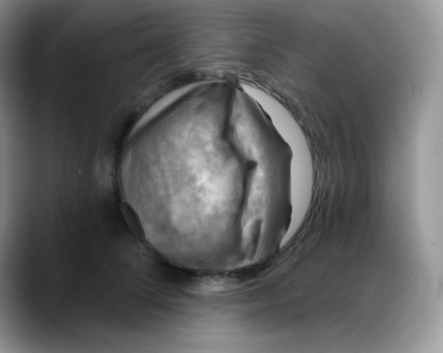 X0000088060708200706081649