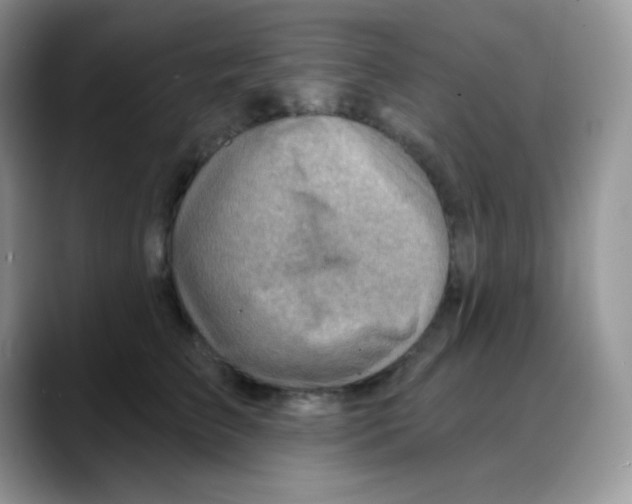 X0000088060709200706081649
