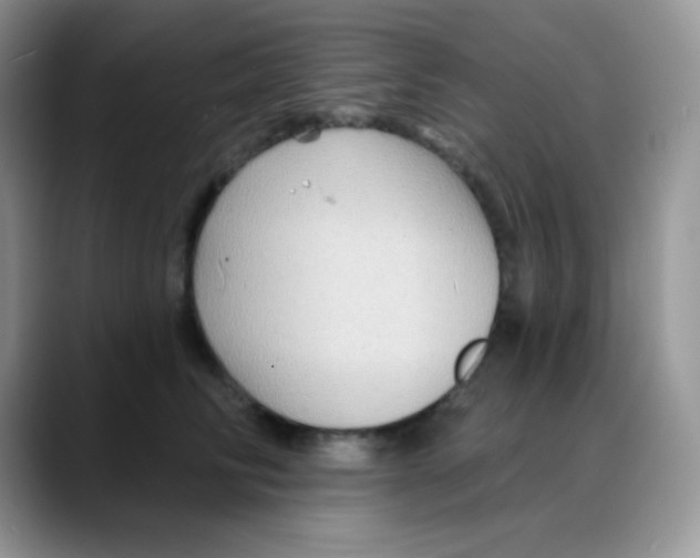 X0000088060710200706081649