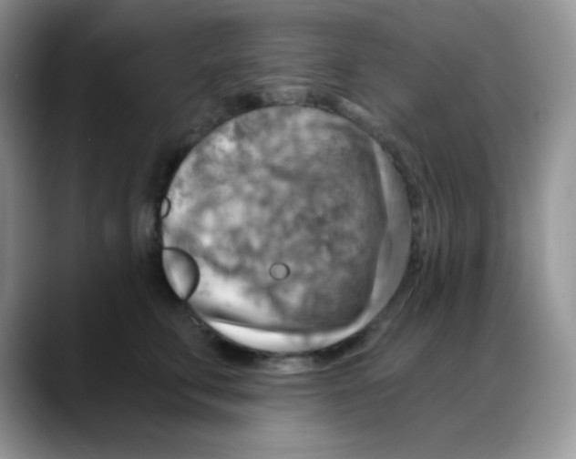 X0000088060711200706081649