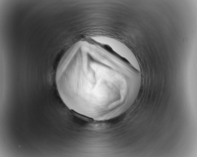 X0000088060712200706081649