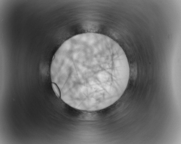 X0000088060713200706081649
