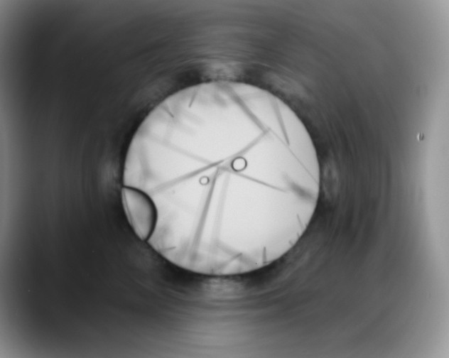 X0000088060714200706081649