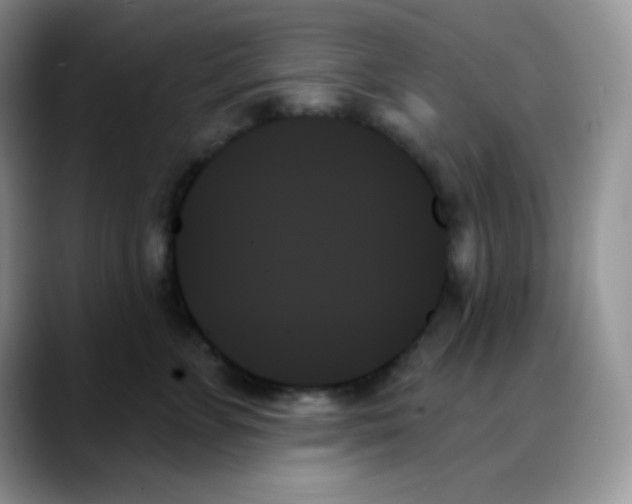 X0000088060715200706081649