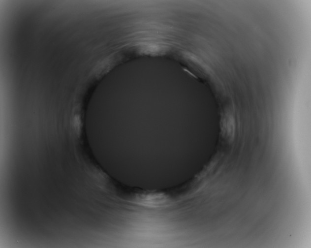 X0000088060716200706081649