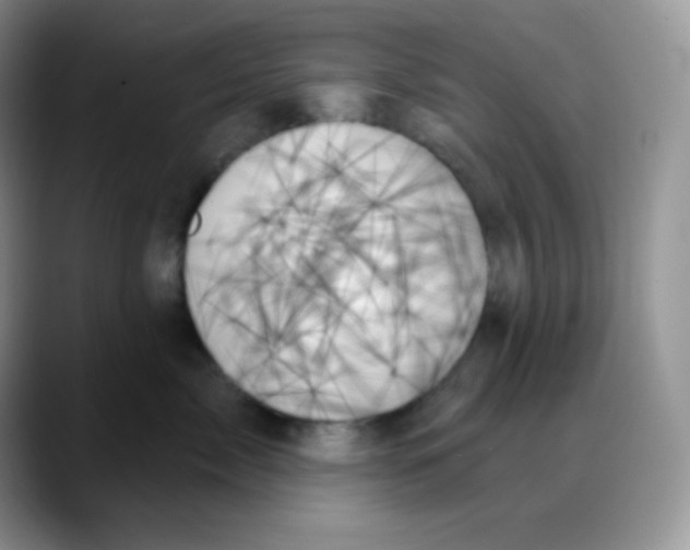 X0000088060717200706081649