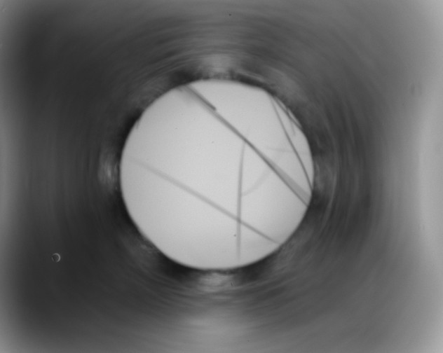 X0000088060718200706081649