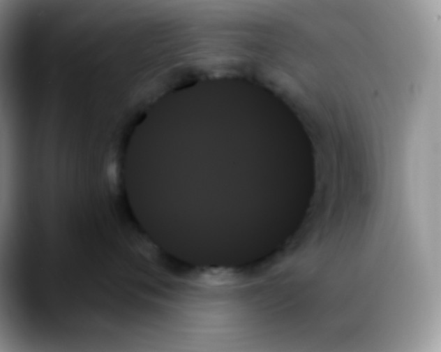 X0000088060720200706081649