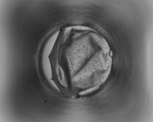 X0000088060722200706081649