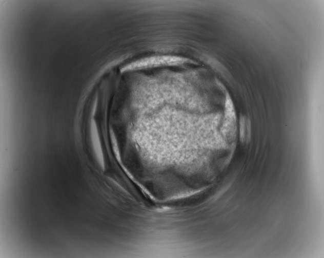 X0000088060723200706081649